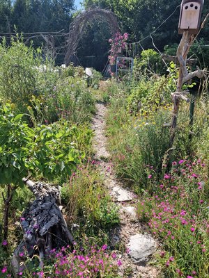 Mehrfache Gartenberatungen führten zu großer Eigeninitiative der Eigentümer bei der naturnahen Umgestaltung des Neubau-Hanggrundstücks für eine große junge Familie.