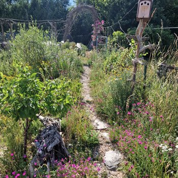 Mehrfache Gartenberatungen führten zu großer Eigeninitiative der Eigentümer bei der naturnahen Umgestaltung des Neubau-Hanggrundstücks für eine große junge Familie.