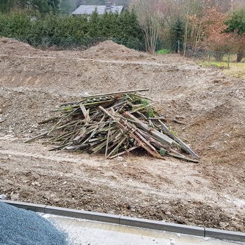 Essbarer Garten vorher