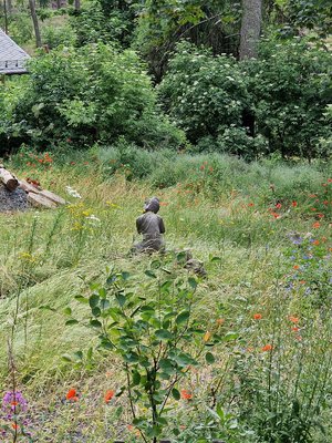 Wegen Trockenheit abgestorbene hohe Fichten wurden nach Geländemodellierung durch eine lange Wildstrauchhecke mit Staudensaum und Sitzplatz in einen naturnahen Waldrand mit Blumenkräuterrasen davor verwandelt.