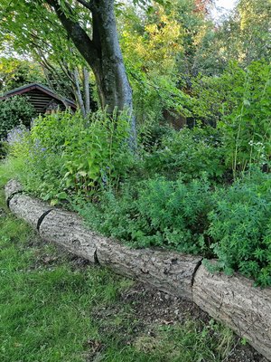 Waldlichtung, mit Bernhardt Erdbau, Avdagi Erhan