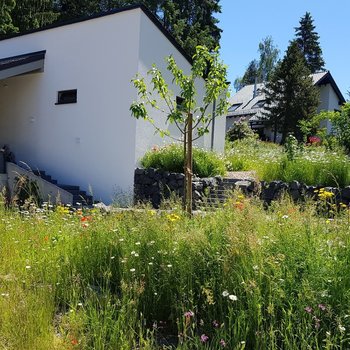 Weißer Garten nachher